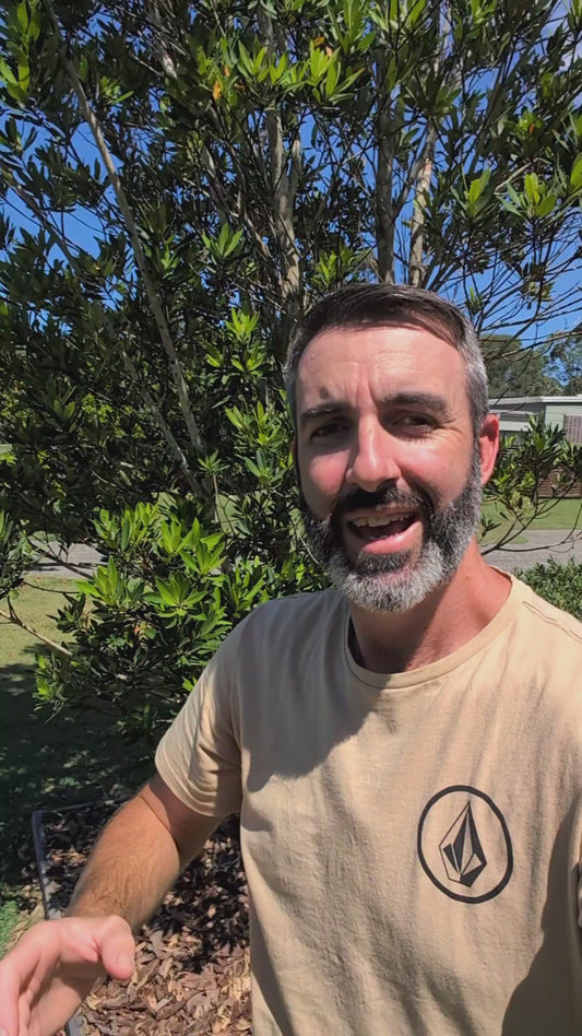 Rover 1300 Power Station