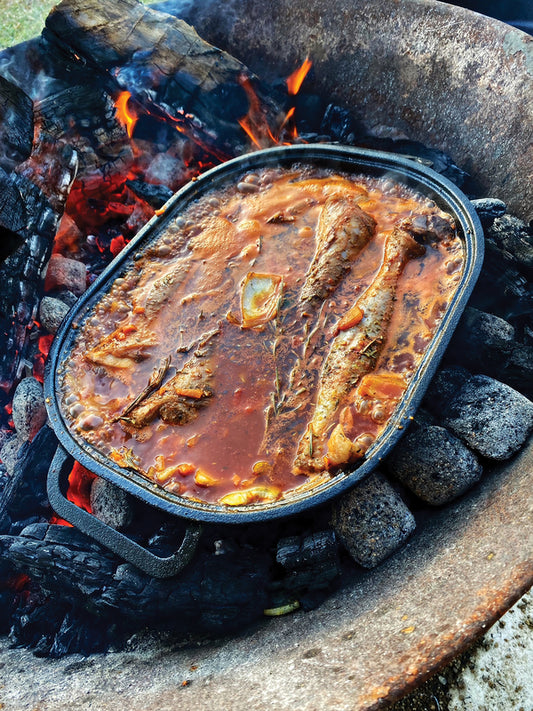 Combo Camp Oven