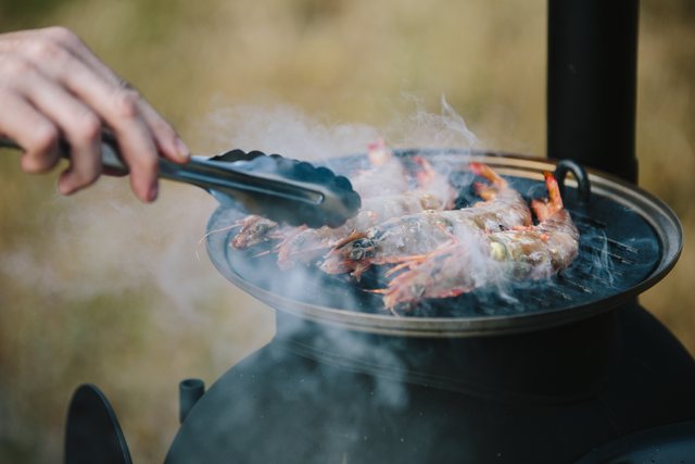 Ozpig Series 2 Portable Wood Fire Stove