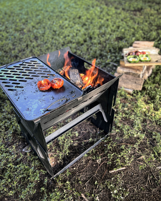 Fire Pit Solid/Grill Cooking Plate