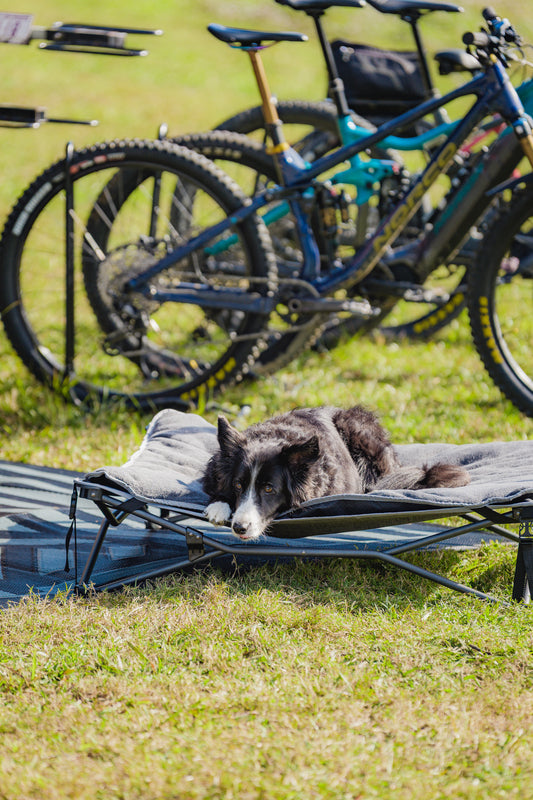 Dog Bed & Fleece Topper